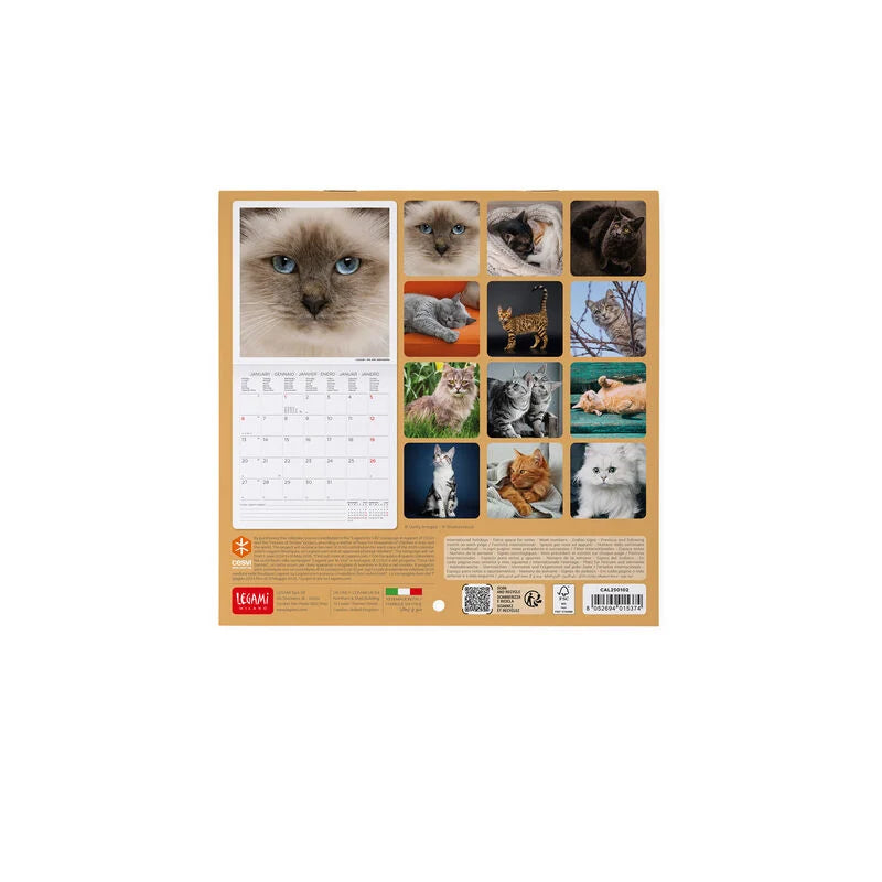 Calendário LEGAMI 2025 Wall Uncoated - 18x18 -Cats